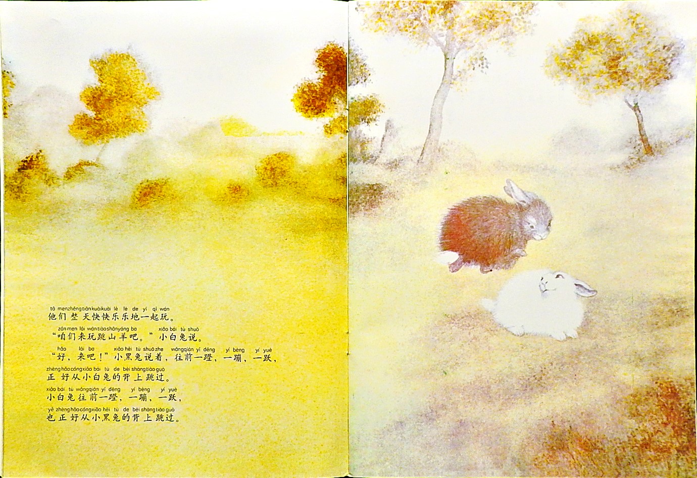 黑兔和白兔 (05),绘本,绘本故事,绘本阅读,故事书,童书,图画书,课外阅读
